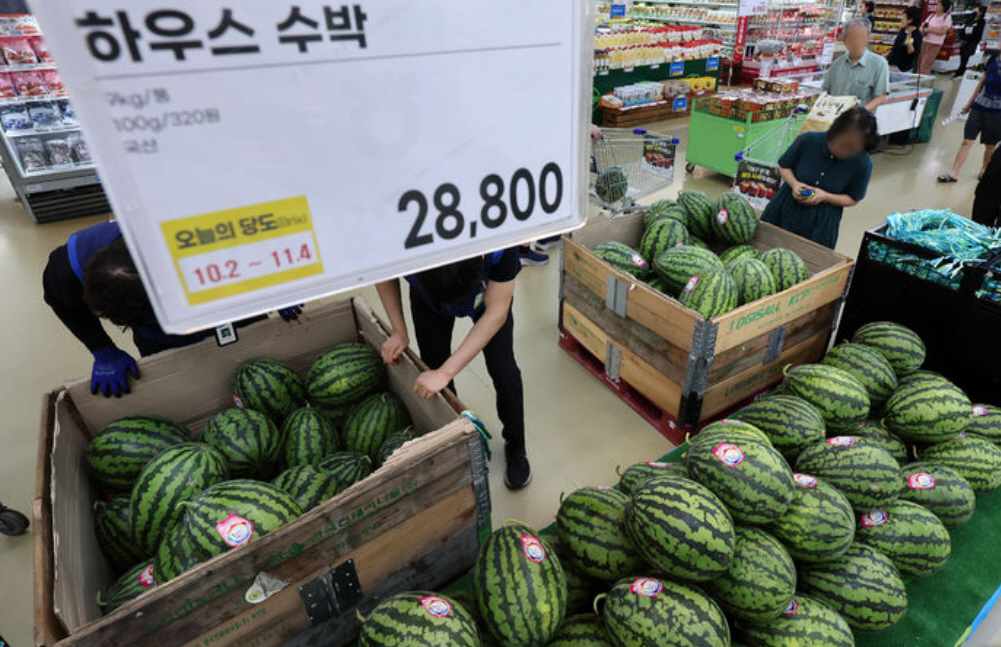 수박값 7월 지나야 내릴 듯...정부 "농축산물 수급안정에 가용수단 총동원"