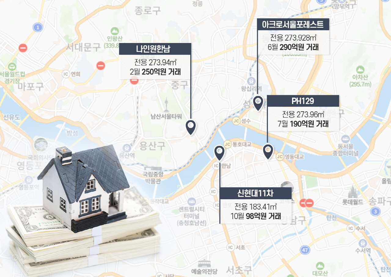 대출 규제 '무풍지대'…'초고가' 단지는 흥행