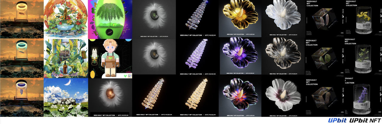 업비트, 시드볼트 NFT로 '멸종위기식물 보전지' 3호 조성