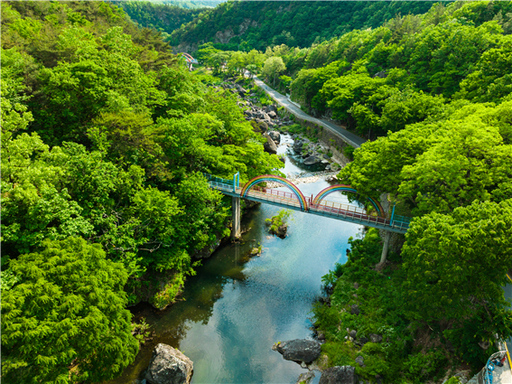 https://cdn.emetro.co.kr/data2/content/image/2026/07/22/.cache/512/20260722500320.jpg