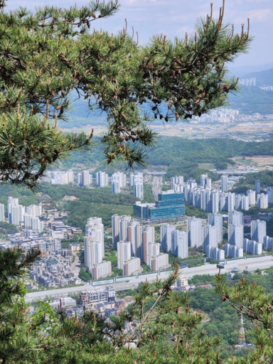 부동산 양극화 심화…초고가 아니면 저가 거래 ↑